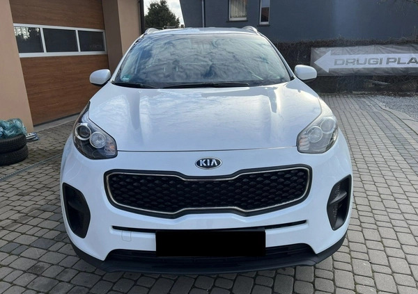 Kia Sportage cena 65900 przebieg: 61000, rok produkcji 2016 z Kudowa-Zdrój małe 172